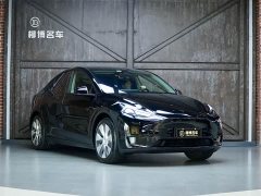 Tesla Model Y Edition - фото 5
