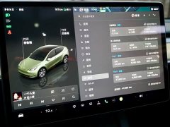 Tesla Model Y Edition - фото 8