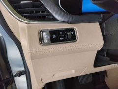 Buick GL8 Deluxe Edition - фото 17