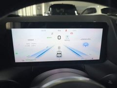 Hongqi HS3 PHEV 125km PLUS 200Anniversary Edition - фото 12