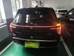 Hongqi HS3 PHEV 125km PLUS 200Anniversary Edition - фото 6