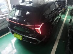 Hongqi HS3 PHEV 125km PLUS 200Anniversary Edition - фото 7