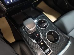 Hongqi HS3 PHEV 125km 200Anniversary Edition - фото 14