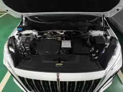Hongqi HS3 PHEV 125km 200Anniversary Edition - фото 20