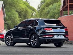 4.0T V8 - фото 15