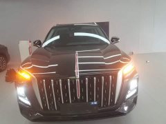 Hongqi HS5 2.0T 2WDPro Edition - фото 3