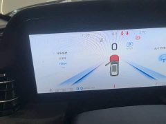 Hongqi HS5 2.0T AWDPro Edition - фото 12