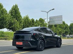 Tesla Model Y Edition - фото 14