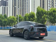 Tesla Model Y Edition - фото 15