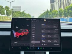 Tesla Model Y Edition - фото 9