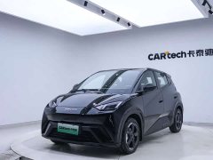 BYD Edition - фото 16