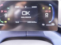 BYD Edition - фото 19
