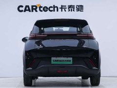 BYD Edition - фото 3