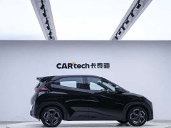 BYD Edition - фото 6
