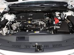 2.0L Luxury Edition - фото 19