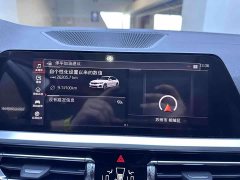 BMW 3 Series 320Li M Sports Package - фото 13