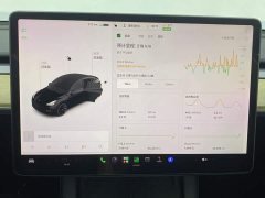 Tesla Model Y Standard Range Edition - фото 15