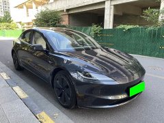 Tesla Model 3 Edition - фото 3