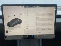 Tesla Model 3 Edition - фото 15