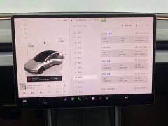 Tesla Model 3 Edition - фото 15