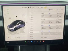 Tesla Model Y Edition - фото 15