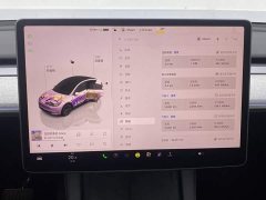 Tesla Model Y Edition - фото 15