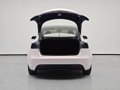 Tesla Model 3 long range all-wheel drive version - фото 8