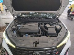 Changan PLUS NE 1.4T GDI DCTPremium Edition - фото 11