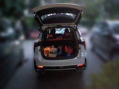Changan CS75PLUS 1.5T Premium Version - фото 10
