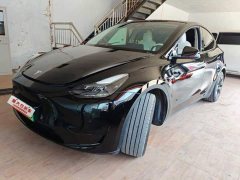 Tesla Model Y Edition - фото 1
