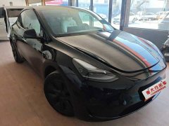 Tesla Model Y Edition - фото 2