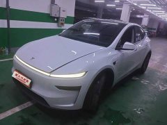 Tesla Model Y Long Range Edition - фото 1