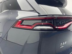 Lexus Tangxin Energy DM-i Champion Edition 112KM Premium Type - фото 11