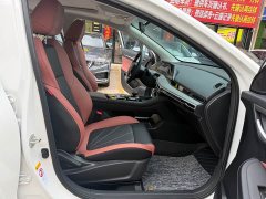 Edition PLUS NE 1.4T GDI DCTPremium Edition - фото 6