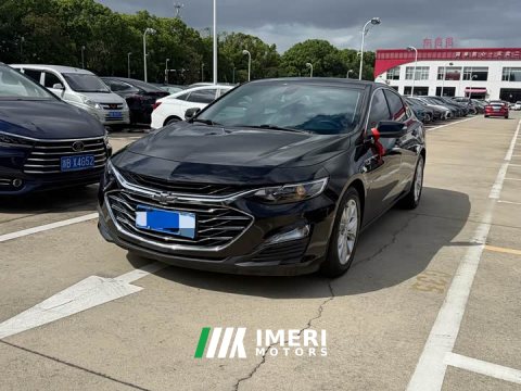 2022 XL 2022 Model 535T Edition - автомобиль из Китая