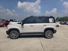 Baojun Plus 301kmFlagship Edition - фото 4