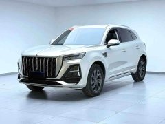 Hongqi HS5 2.0T Pro Edition - фото 1