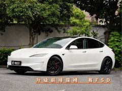 Tesla Model 3 Performance Edition - фото 1