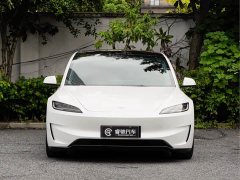 Tesla Model 3 Performance Edition - фото 2
