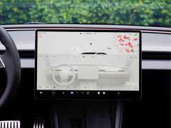 Tesla Model 3 Performance Edition - фото 20