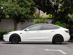 Tesla Model 3 Performance Edition - фото 3
