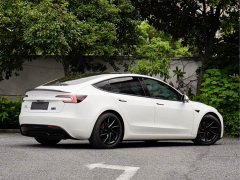 Tesla Model 3 Performance Edition - фото 4