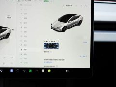 Tesla Model 3 Performance Edition - фото 9