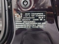 Hongqi HQ9 2.0T Luxury Edition - фото 17