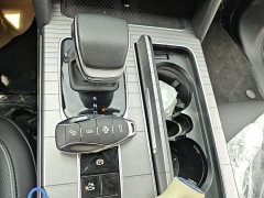 Hongqi HS7 PHEV 2.0T PHEV AWD Edition 6 - фото 14
