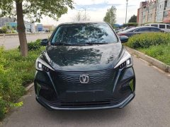 BYD E-Star Edition - фото 3