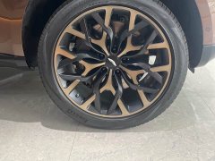 Aston Martin DBX 4.0T V8 - фото 5