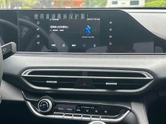 PLUS 1.5L Luxury Edition - фото 13