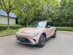 smart#1 Premium Edition - фото 1