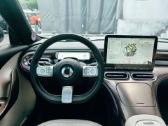 smart#1 Pulse Edition - фото 9